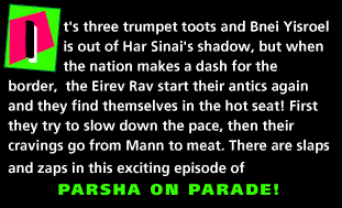 Parshat Baha'alotcha