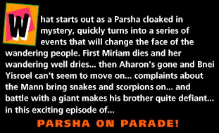 Parshat Chukat
