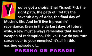 Parshat Nitzavim