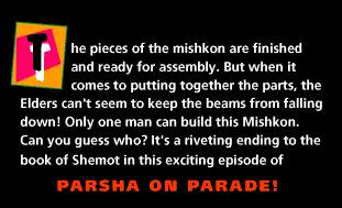 Parshat Pekudei