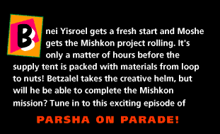 Parshat Vayakhel