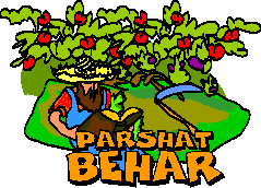 Parshat Behar