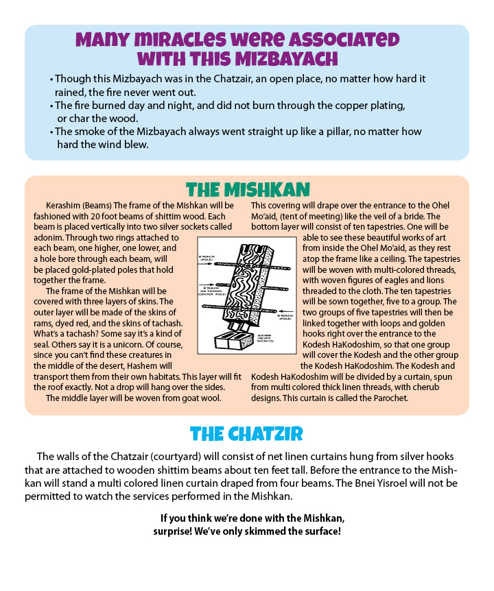 Temurah Example Chart Parsha on Parade - Terumah Story